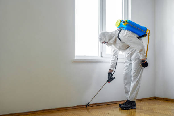 Best Termite Inspection and Treatment  in Hebron, NE